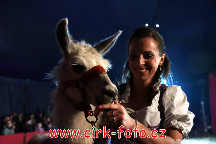 DSC_2811 (Kopírovat)