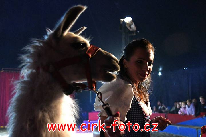 DSC_2812 (Kopírovat)