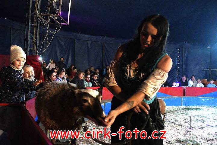 DSC_2813 (Kopírovat)