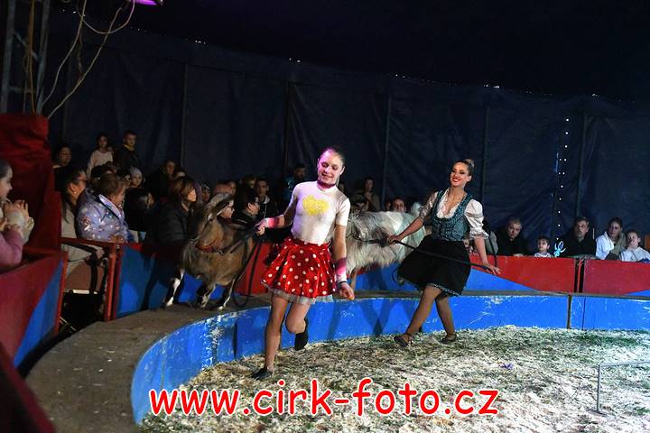 DSC_2817 (Kopírovat)