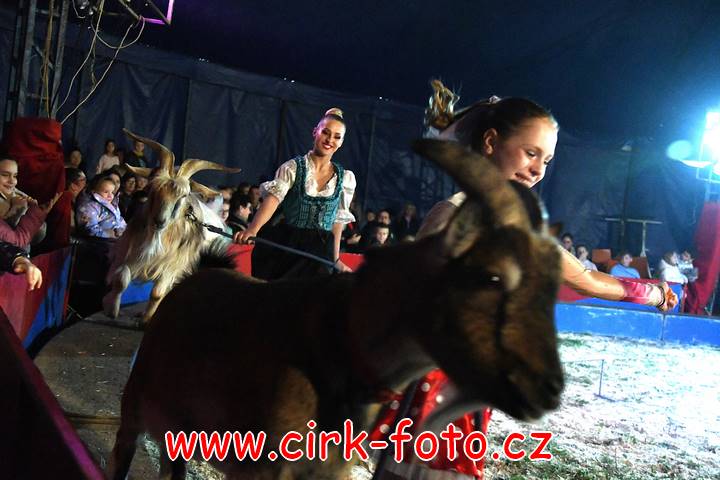 DSC_2819 (Kopírovat)