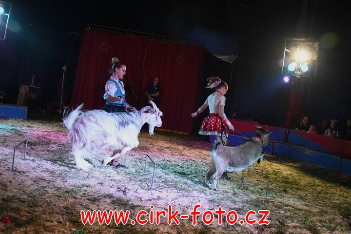 DSC_2822 (Kopírovat)