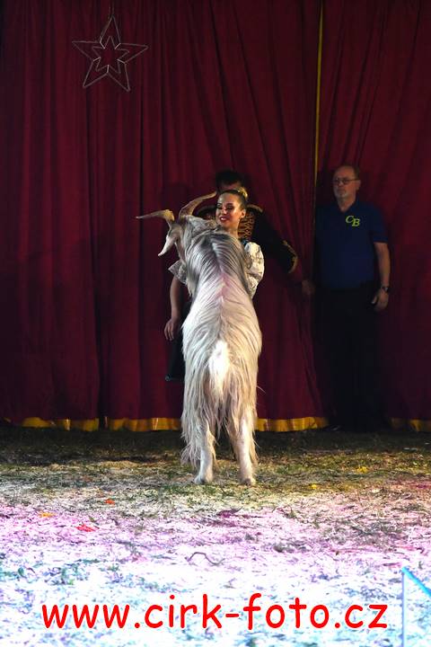 DSC_2823 (Kopírovat)