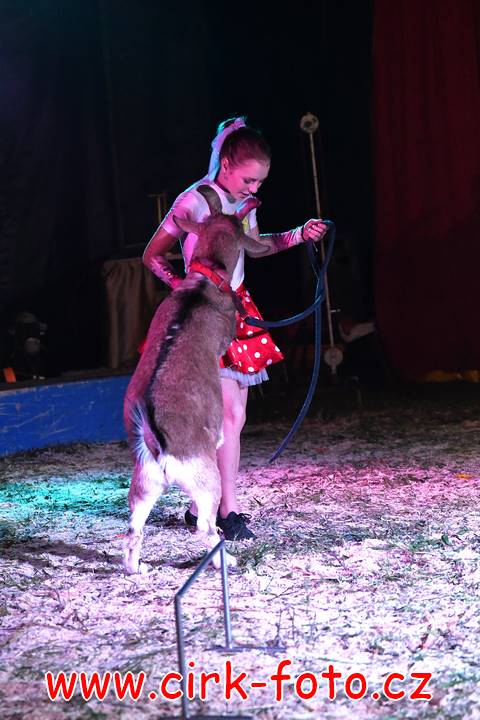 DSC_2824 (Kopírovat)