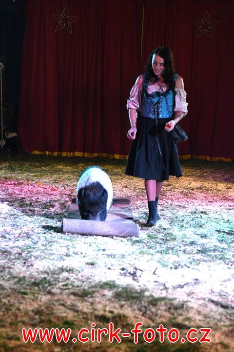 DSC_2827 (Kopírovat)