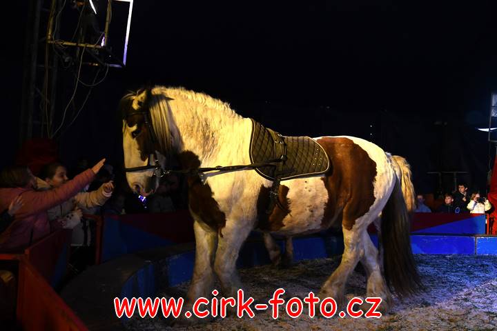 DSC_2852 (Kopírovat)