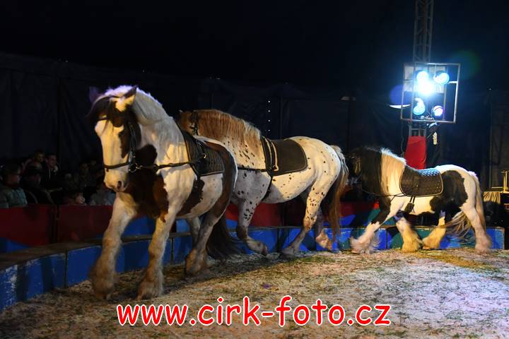 DSC_2853 (Kopírovat)