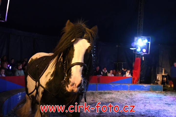 DSC_2857 (Kopírovat)