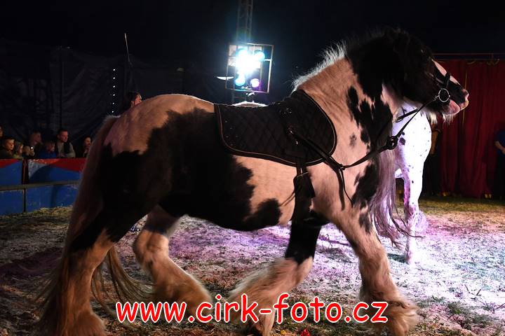 DSC_2869 (Kopírovat)