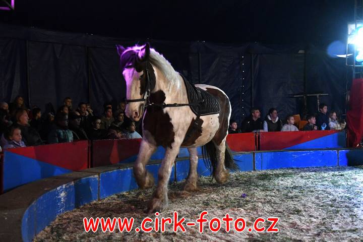 DSC_2876 (Kopírovat)