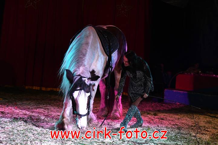 DSC_2880 (Kopírovat)