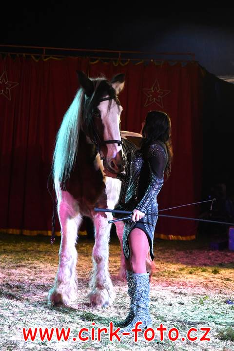 DSC_2884 (Kopírovat)