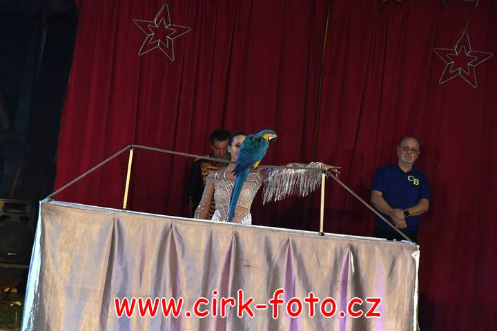 DSC_2896 (Kopírovat)