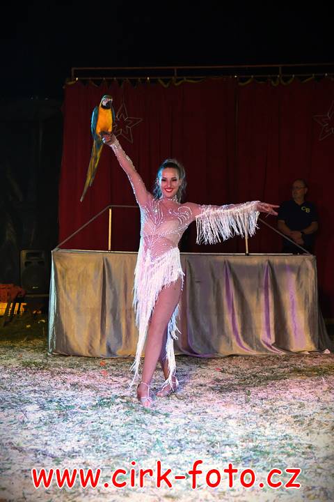 DSC_2902 (Kopírovat)