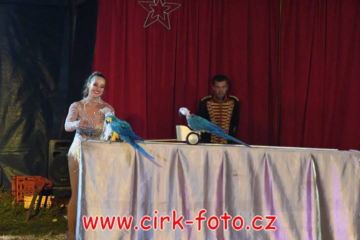 DSC_2909 (Kopírovat)