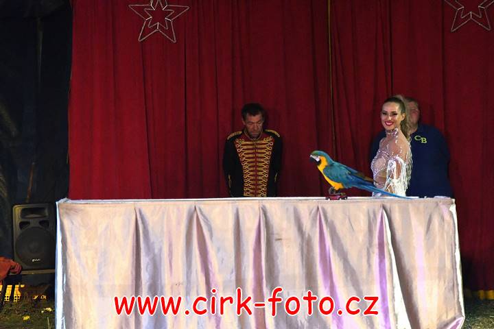 DSC_2914 (Kopírovat)