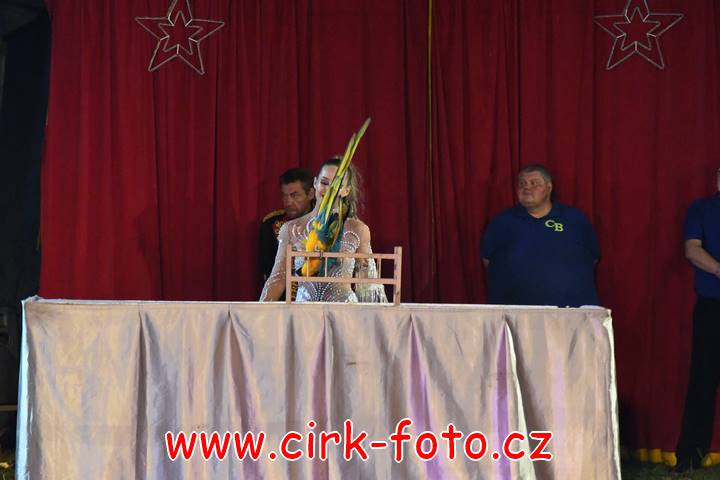 DSC_2919 (Kopírovat)