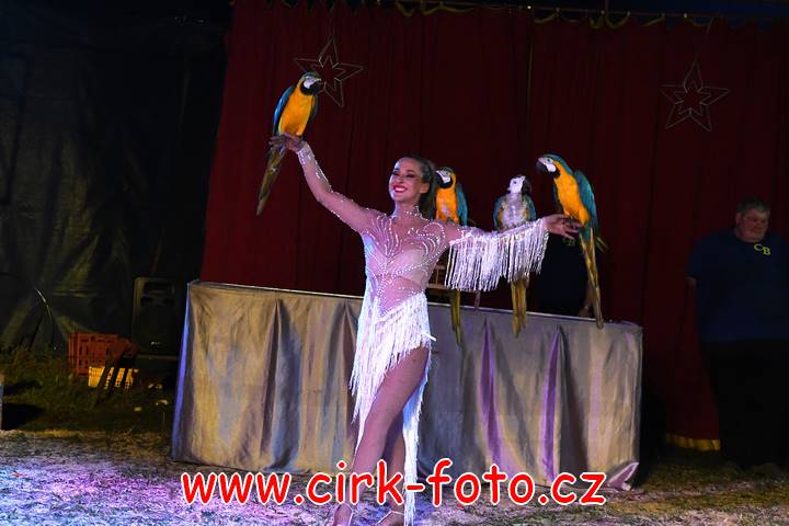 DSC_2923 (Kopírovat)