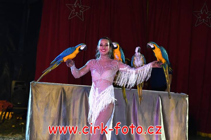 DSC_2924 (Kopírovat)