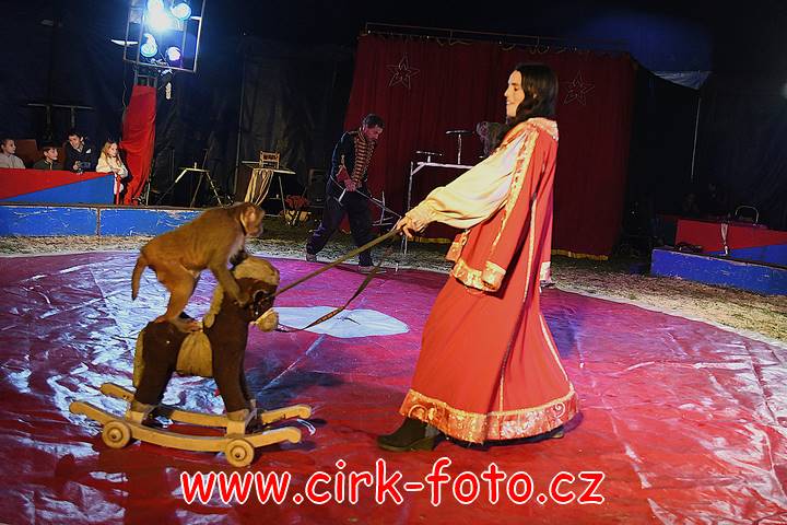 DSC_2972 (Kopírovat)