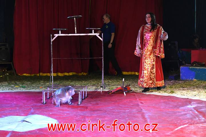 DSC_2979 (Kopírovat)