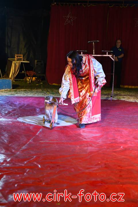 DSC_2982 (Kopírovat)