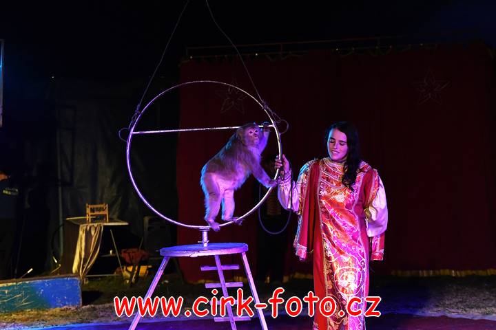 DSC_2985 (Kopírovat)