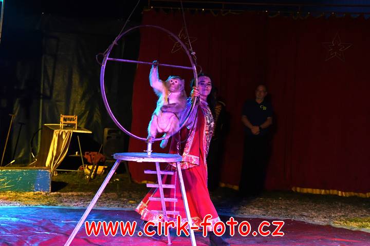 DSC_2988 (Kopírovat)