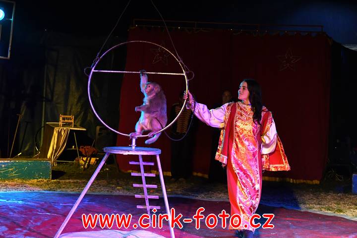 DSC_2990 (Kopírovat)