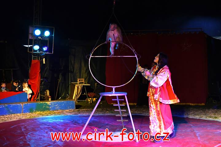 DSC_2992 (Kopírovat)