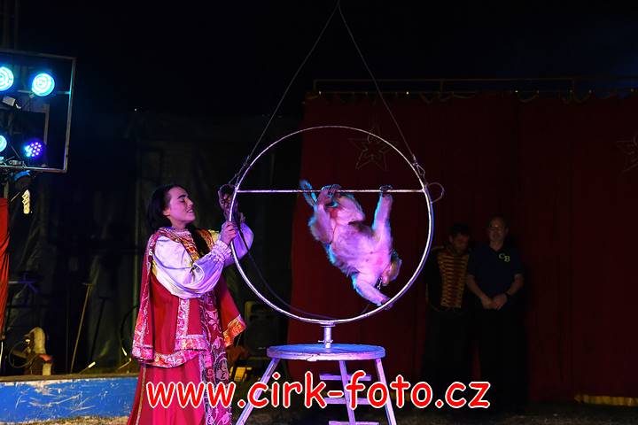 DSC_2993 (Kopírovat)