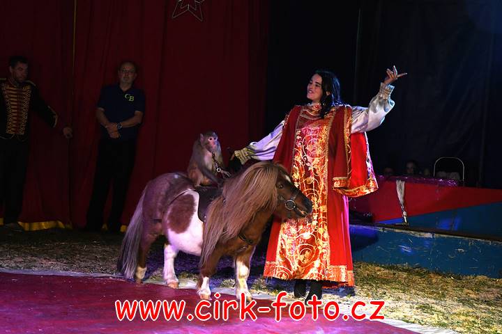 DSC_3002 (Kopírovat)