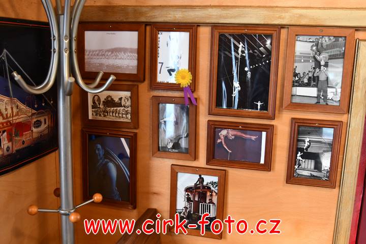 DSC_3130 (Kopírovat)