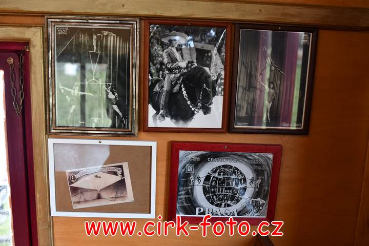 DSC_3131 (Kopírovat)