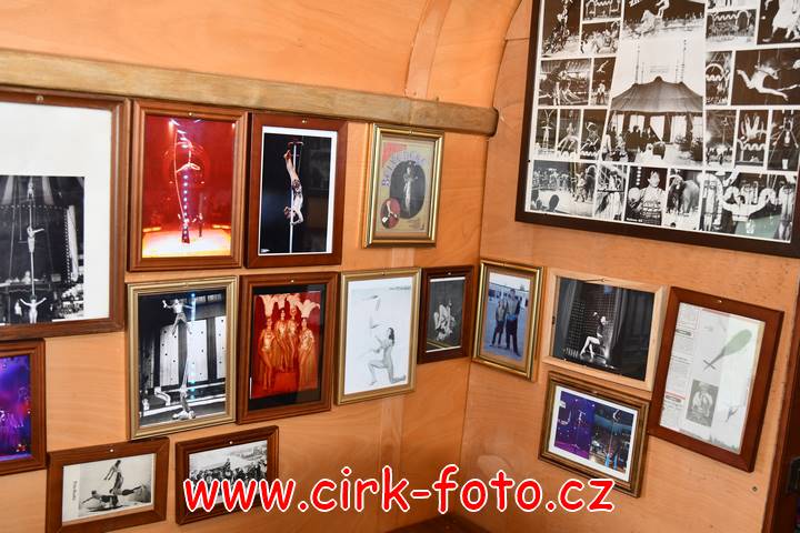 DSC_3134 (Kopírovat)