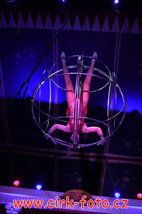 DSC_3336 (Kopírovat)