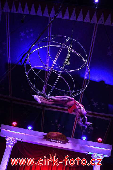 DSC_3343 (Kopírovat)