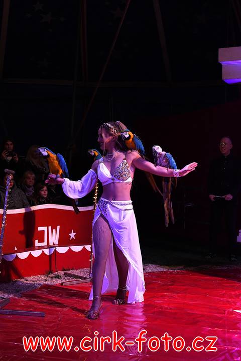 DSC_3670 (Kopírovat)