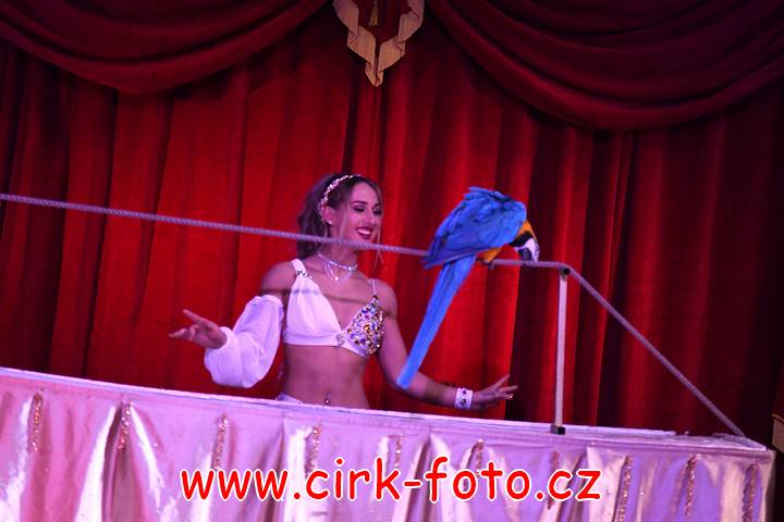 DSC_3677 (Kopírovat)