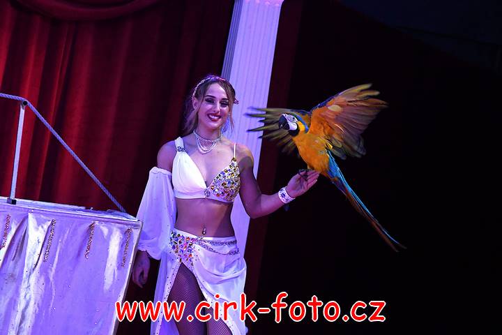 DSC_3679 (Kopírovat)