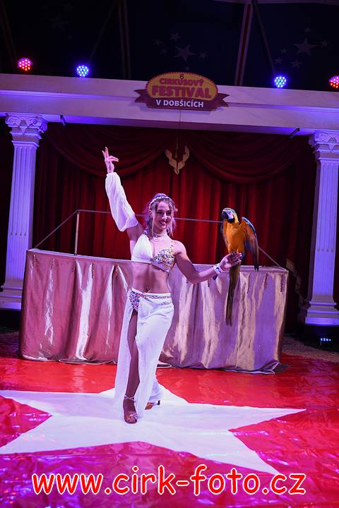 DSC_3683 (Kopírovat)