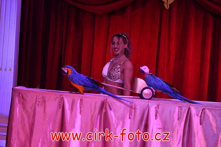 DSC_3704 (Kopírovat)