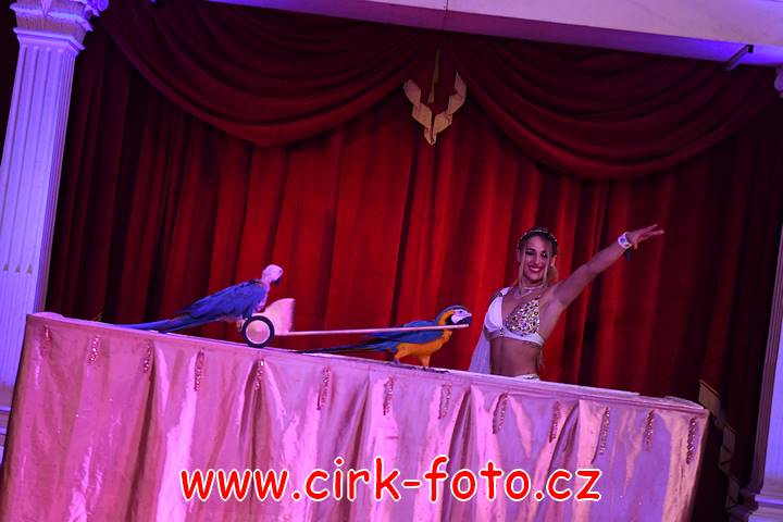 DSC_3708 (Kopírovat)