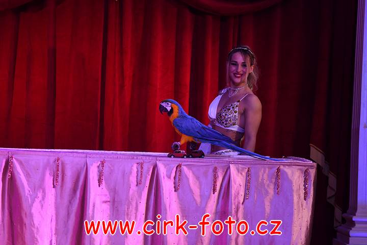 DSC_3714 (Kopírovat)