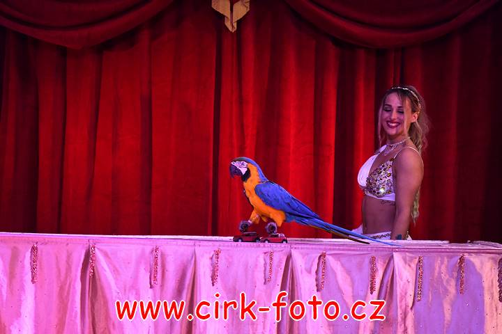 DSC_3715 (Kopírovat)