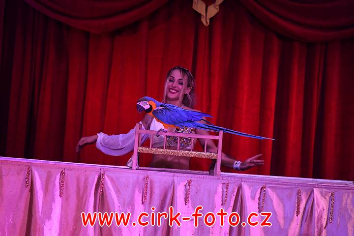 DSC_3729 (Kopírovat)