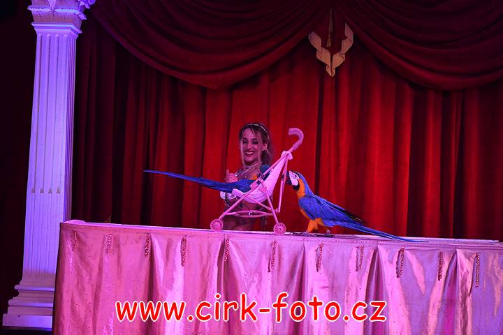 DSC_3731 (Kopírovat)