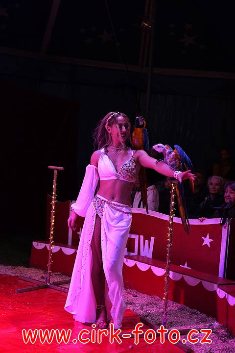 DSC_3733 (Kopírovat)