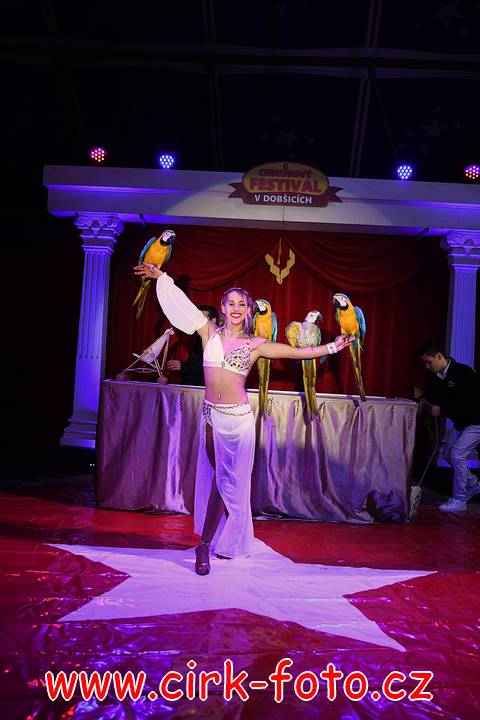 DSC_3737 (Kopírovat)