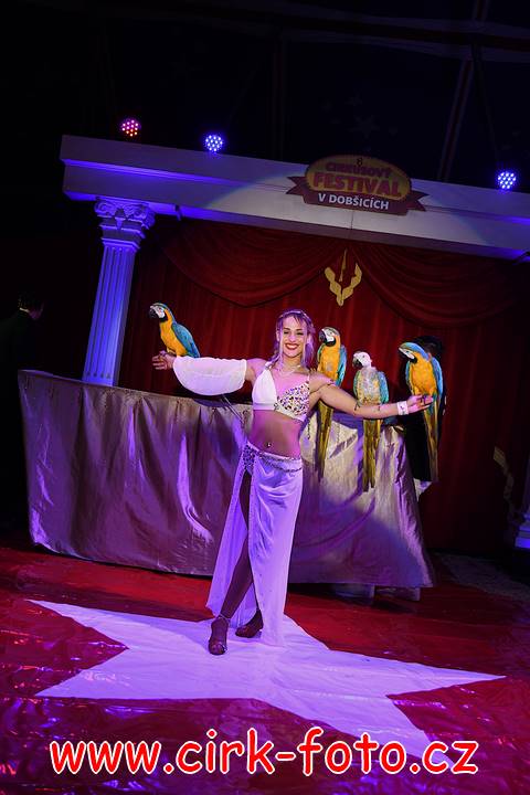 DSC_3741 (Kopírovat)